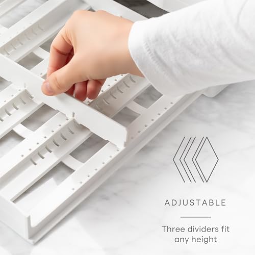SpiceStack Adjustable Spice Rack Organizer, Pull-Down 24-Bottle Seasonings and Spices Holder for Kitchen Cabinet and Pantry Organization with 104 Included Labels