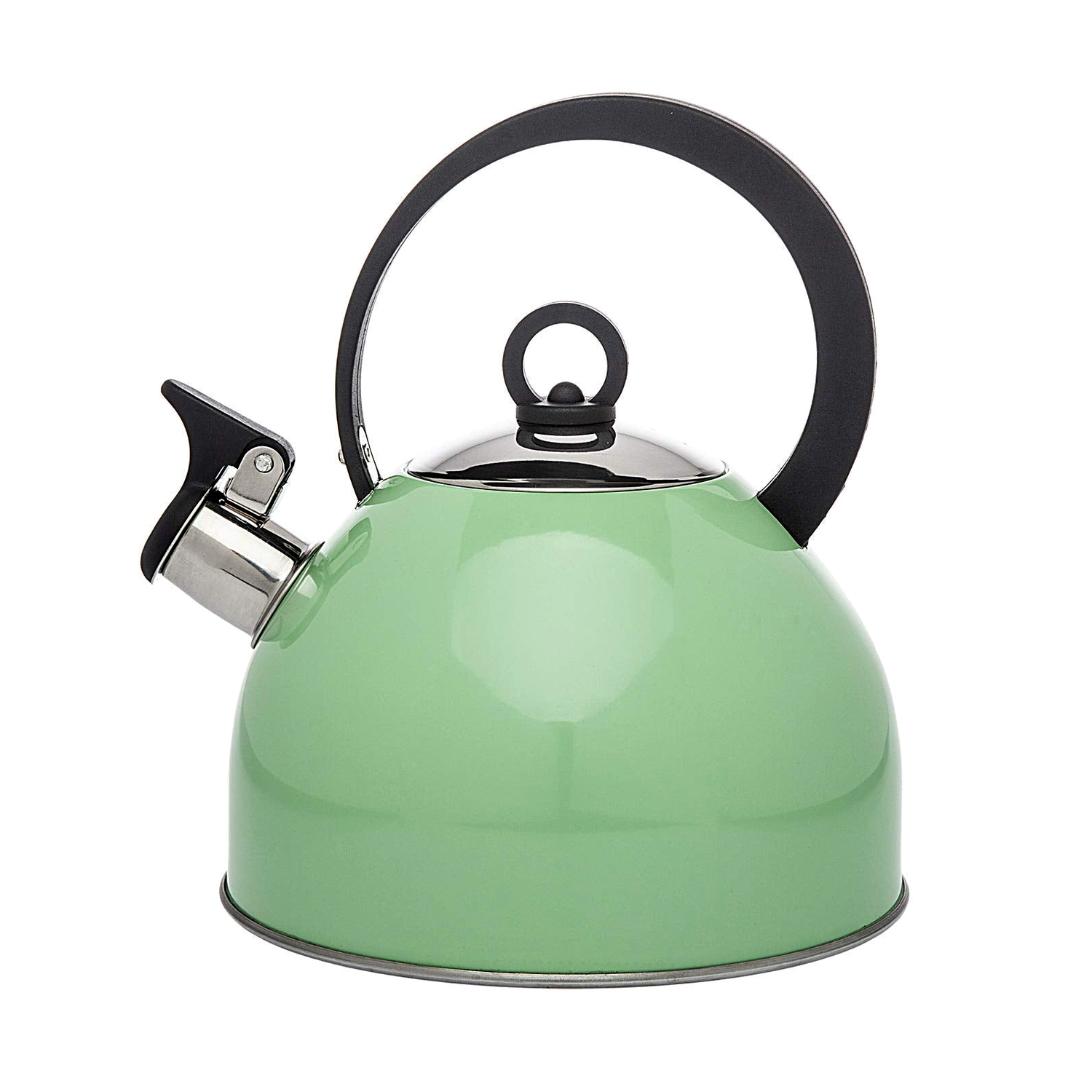 Stainless Steel Tea Pot